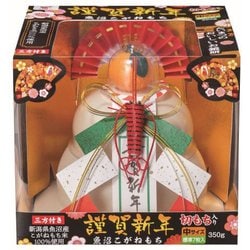 お鏡餅 謹賀新年 魚沼こがねもち 切りもち 中