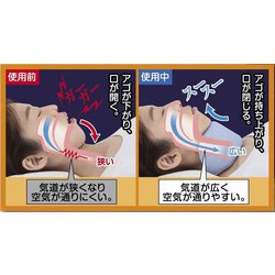 ヨドバシ.com - サイプラス イビピタン ネックピロー 通販【全品