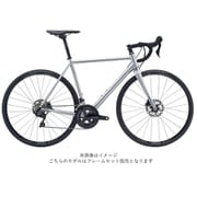 ロードバイク FOREAL 47 MATTE SILVER フレームセット 21FRALSV47F