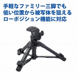 ヨドバシ.com - ベルボン Velbon EX-MNS2 [ミニ三脚 EX-MINI S II