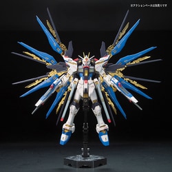 ヨドバシ.com - バンダイスピリッツ RG 機動戦士ガンダムSEED DESTINY