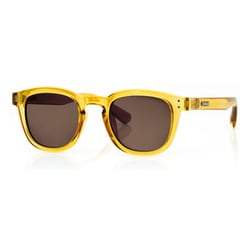 HAVANA Gloss Clear Honey/Brown Polarized