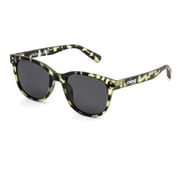 3455-HOMELAND OLIVE TORT
