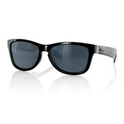 ONE STEP BEYOND Black/Polarized