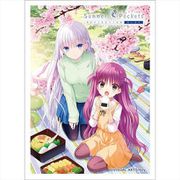 Summer Pockets REFLECTION BLUE スリーブ しろは＆うみ/花見 [トレーディングカード用品]