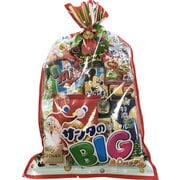 種清 サンタのBIGバッグ
