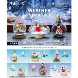 ヨドバシ.com - リーメント SNOOPY WEATHER Terrarium 1個