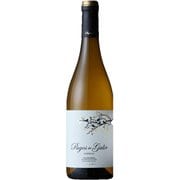 パゴス・デ・ガリア ゴデーリョ 750ml スペイン [白ワイン]