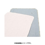 敷きパッド シングルサイズ （100×205cm）ブルー CM00502003