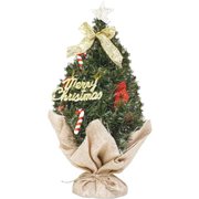 クリスマスツリー 50cm