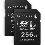 MATCH PACK for Panasonic EVA1 256GB x 2 MP-EVA1-256SDX2