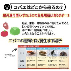 ヨドバシ Com レック Lec バルサン V バルサン コバエ直撃ワンプッシュ 無香 通販 全品無料配達