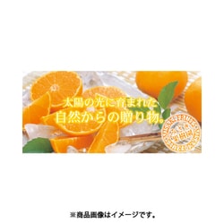 ヨドバシ.com - みさき果樹園 ブラッドオレンジ