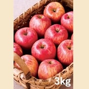 48001 【ギフト】平井さんの葉とらずりんご3ｋｇ [ご注文期間は2023年1月31日（火）まで]