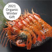 【ギフト】 子持ちぼたんえび 500g（約8尾）