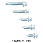 6068P250 [（120038035）6068-P250/ショルダースクリュー]