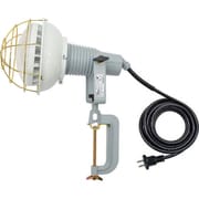 AFL4005J [日動 エコビックLED投光器40W 昼白色 2P 5M]