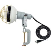 AFL5005J [日動 エコビックLED投光器50W 昼白色 2P 5M]