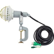 AFLE2010J [日動 エコビックLED投光器20W 昼白色 E付 10M]