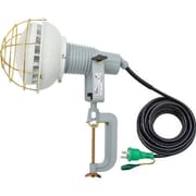 AFLE4010J [日動 エコビックLED投光器40W 昼白色 E付 10M]