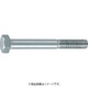 TRUSCO 六角ボルトステンレス半ねじタイプ M16X55 2本入 B231655H