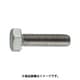 B231660 [TRUSCO 六角ボルトステンレス全ねじ M16X60 2個入]
