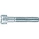 TRUSCO 六角穴付ボルト三価クロメート 白 半ネジM12X60 2本入 B7301260