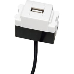DM1USB20WT [（210036813）DM1-USB20-WT/USBコネクタ]
