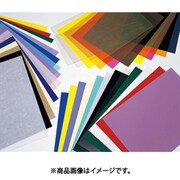 エンビ板 青3×910×900mm EB9936