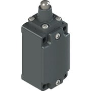 FD911 [リミットスイッチ FDタイプ9 ステンレスピストンプランジャ11形]