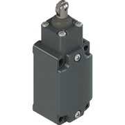 FD915 [リミットスイッチ FDタイプ9 ローラピストンプランジャ15形]