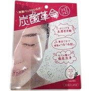 炭酸革命 シュワシュワ 1回分 [炭酸パック]