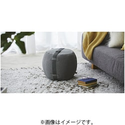 C3JHI00355 [オットマン モニョン]