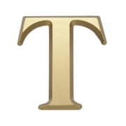NUM43T [真鍮文字]