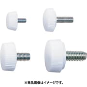 RTS2013WP100 [（120046683）RTS-2013W-P100/ローレットねじ]