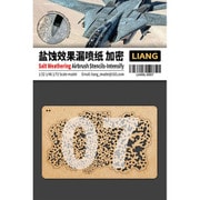 LIANG-0007 エアブラシ用ソルトウェザリングステンシル（大） （1/32・1/48・1/72） [テクスチャステンシル]