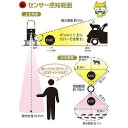 黒猫　ライト 286093-sz.jpg