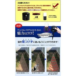 黒猫　ライト 286093-sz.jpg
