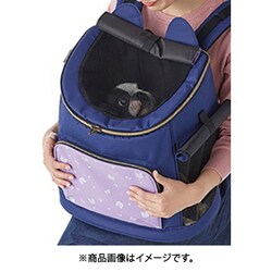 Amazon.co.jp: ペティオ (Petio) キャラペティ 美少女戦士