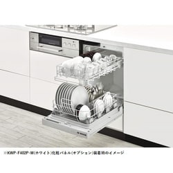 ヨドバシ.com - リンナイ Rinnai RSW-F402C-SV [ビルトイン食器洗い 