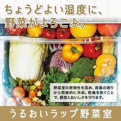 ヨドバシ.com - 東芝 TOSHIBA GR-S36SVL（ZH） [冷蔵庫 （356L・左開き