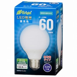 LED電球 60形相当 G形 E26 昼光色 LDG6D-G 7AG20