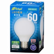 LED電球 60形相当 G形 E26 昼光色 LDG6D-G 7AG20