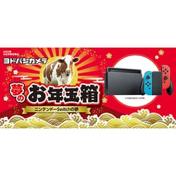 ヨドバシ Com ヨドバシカメラ Yodobashi Camera 夢のお年玉箱2021 ニンテンドーswitchの夢 通販 全品無料配達