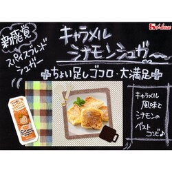 ヨドバシ.com - ハウス食品 パパン キャラメルシナモンシュガー 30g