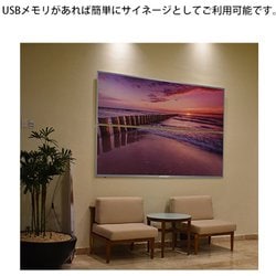 ヨドバシ.com - JAPANNEXT ジャパンネクスト JN-IPS5500TUHDR [4K 55 