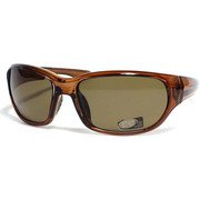 サングラス SJ20-544-3T [スポーツサングラス]
