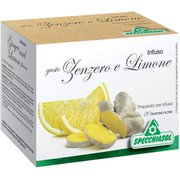 スペッキアソル ジンジャー＆レモンティーティーバッグ（2g×20P）40g