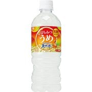 季節品 天然水はちみつうめ（冷凍兼用） 540ml×24本