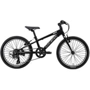 子ども用自転車 20インチ 250mm 6段変速 LG BLACK J20(250)(AK)LG BLACK
